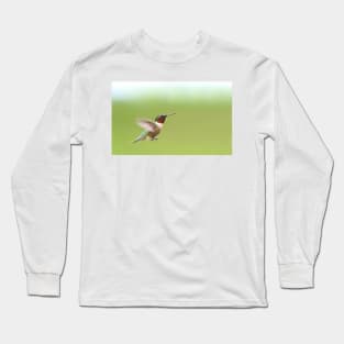 Ruby-throated Hummingbird Long Sleeve T-Shirt